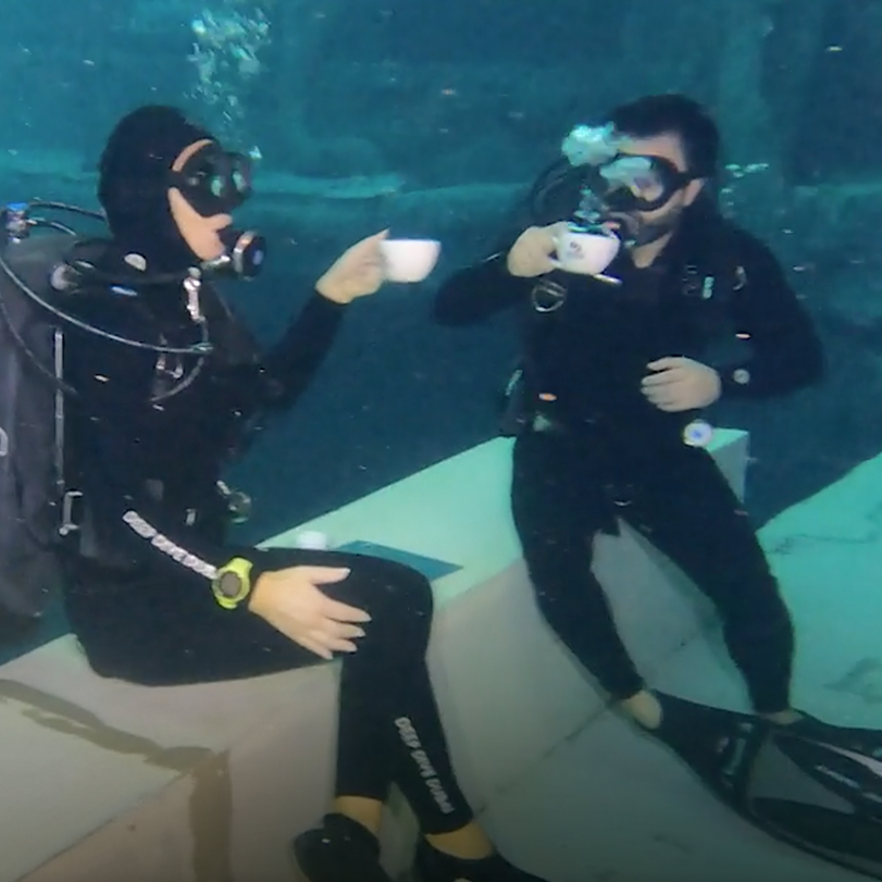 Dive Dubai is a unique diving experience in the world, see details
